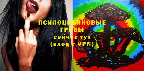 ПСИЛОЦИБИНОВЫЕ ГРИБЫ Абдулино
