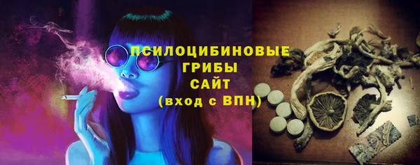 ПСИЛОЦИБИНОВЫЕ ГРИБЫ Абдулино