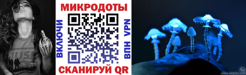 Галлюциногенные грибы MAGIC MUSHROOMS Ленинградская