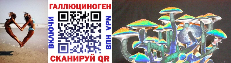 Галлюциногенные грибы Psilocybine cubensis  Ленинградская 